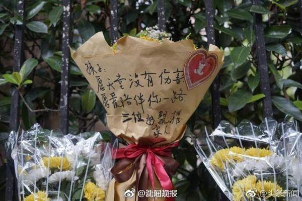 😁杨瀚森：我在更衣室教队友说牛和稳了 他们教我最新游戏技巧